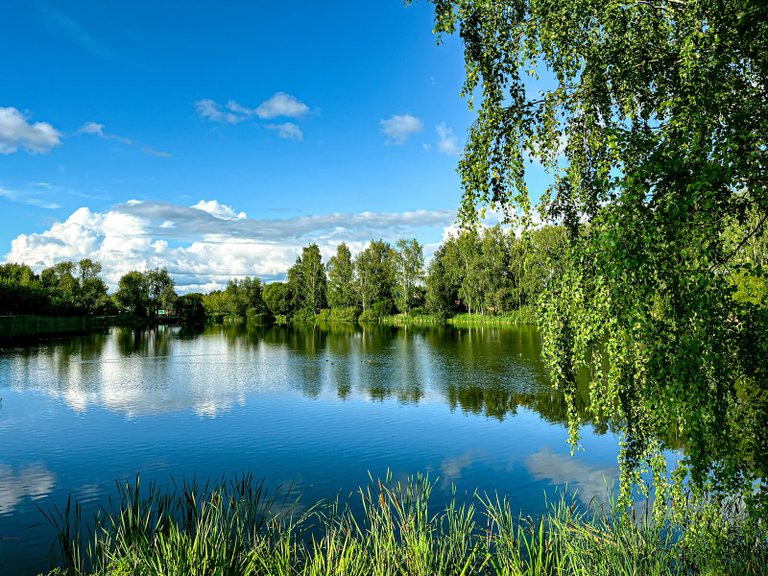 Upper Pond Park in Plyos