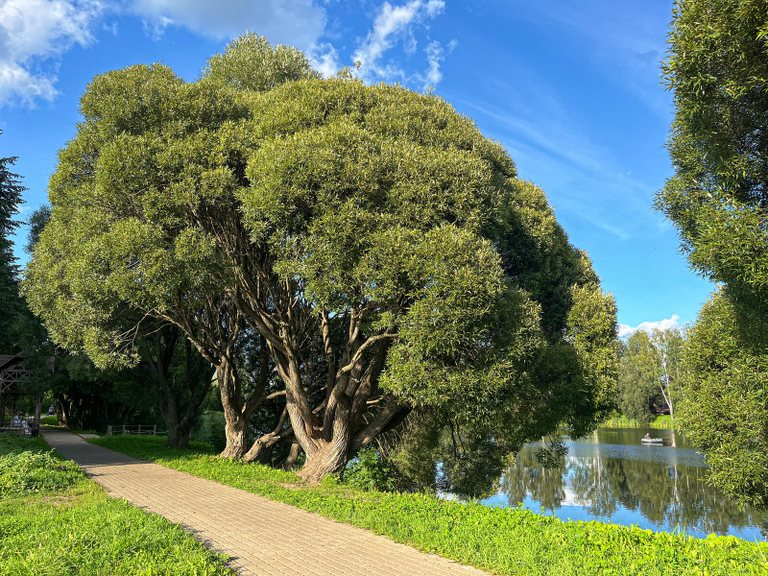 Upper Pond Park