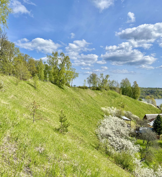 Плёсская крепость