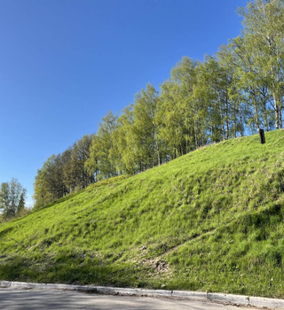 Плёсская крепость