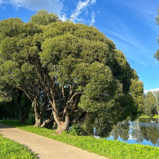 Parc de l'Étang Supérieur