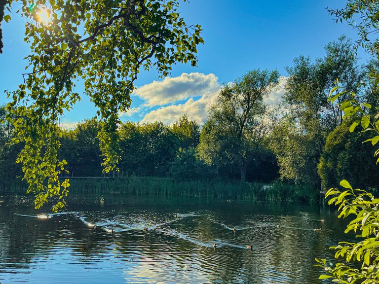 Upper Pond Park in Plyos