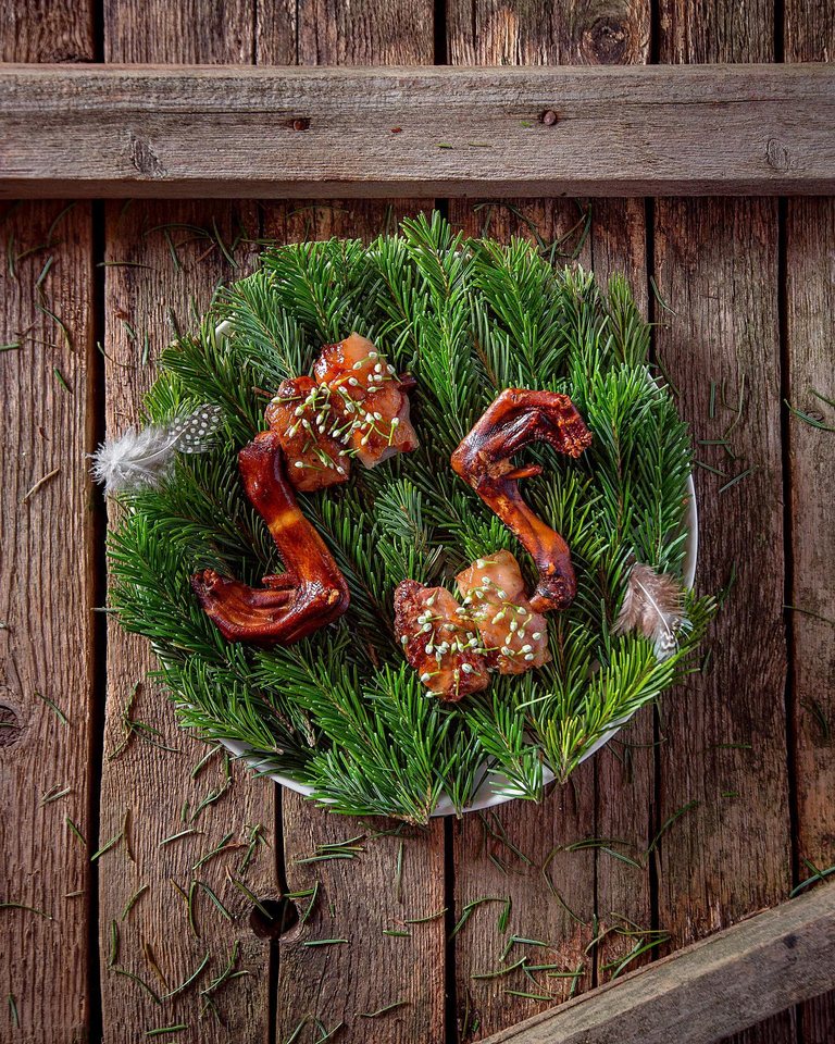 Шашлычок из печени гуся