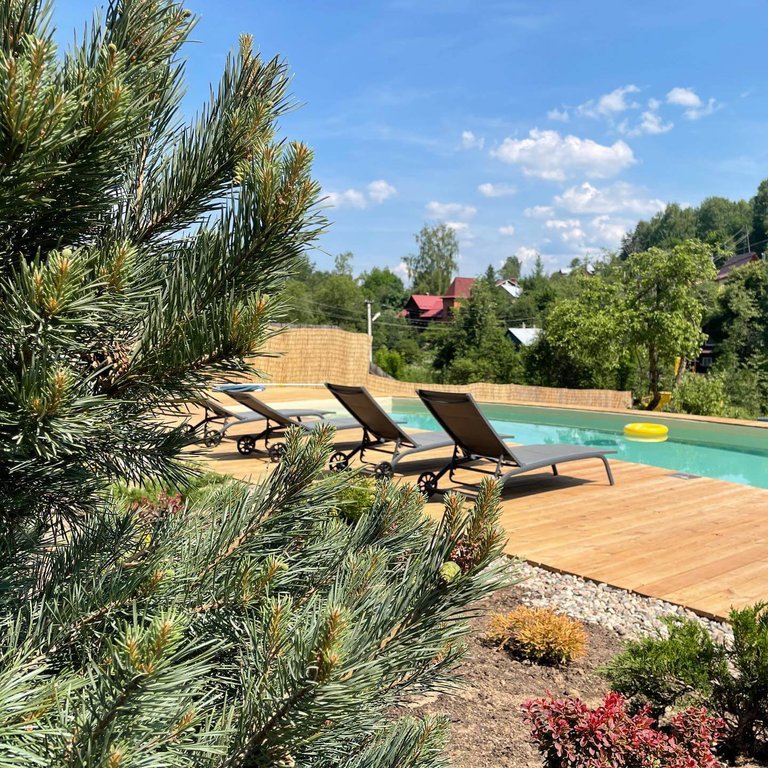 Guest Estate Plyos