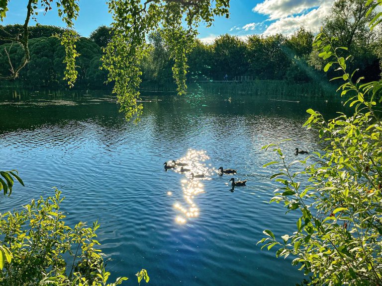 Upper Pond Park in Plyos