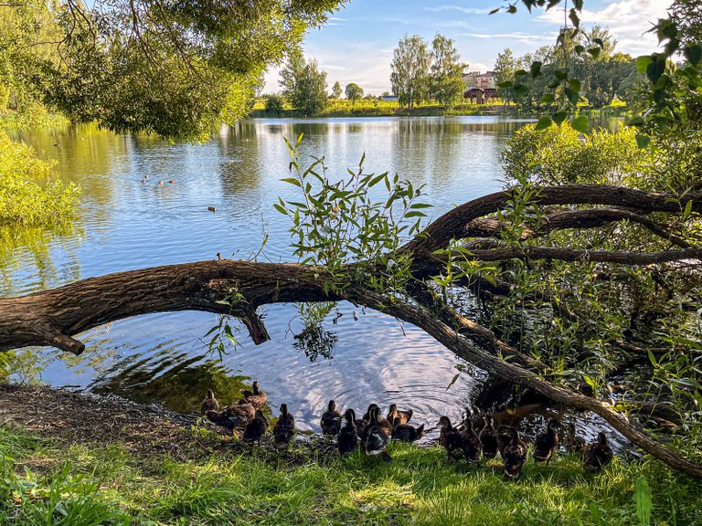 Upper Pond Park in Plyos