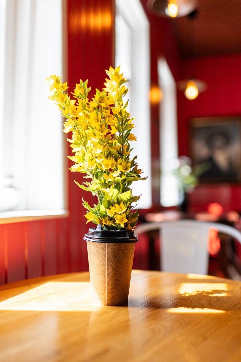 Izba Coffeehouse in Plyos